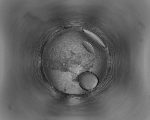 X0000115190471200911121825