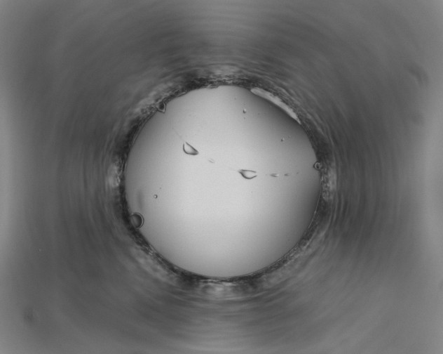 X0000115190472200911121825