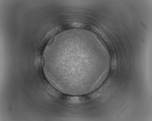 X0000115190473200911121825
