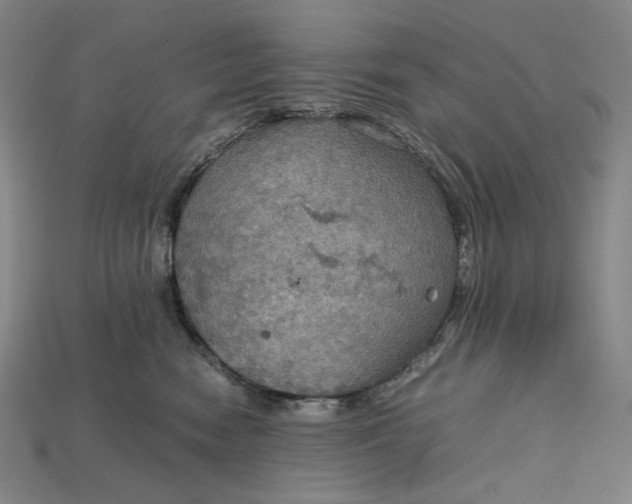 X0000115190474200911121825