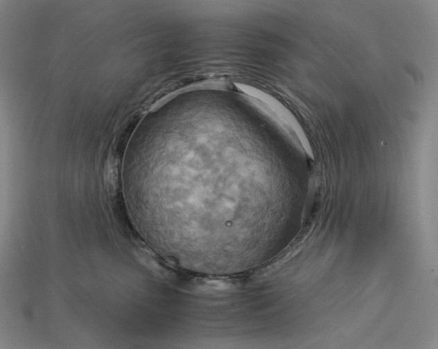 X0000115190475200911121825