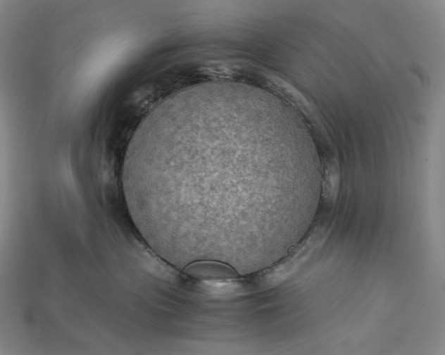 X0000115190477200911121825