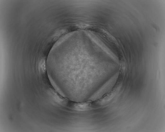 X0000115190479200911121825