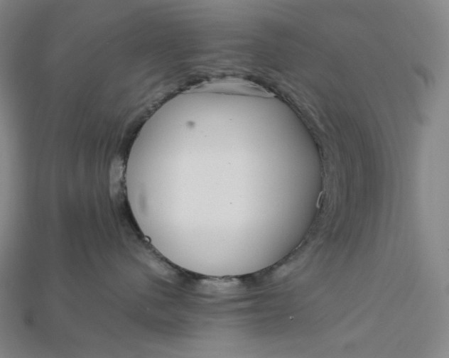 X0000115190480200911121825
