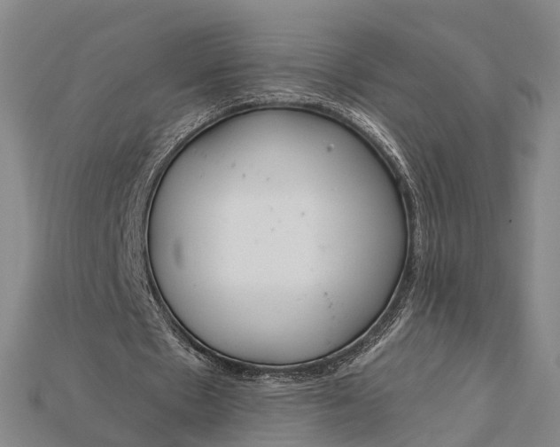 X0000115190481200911121825