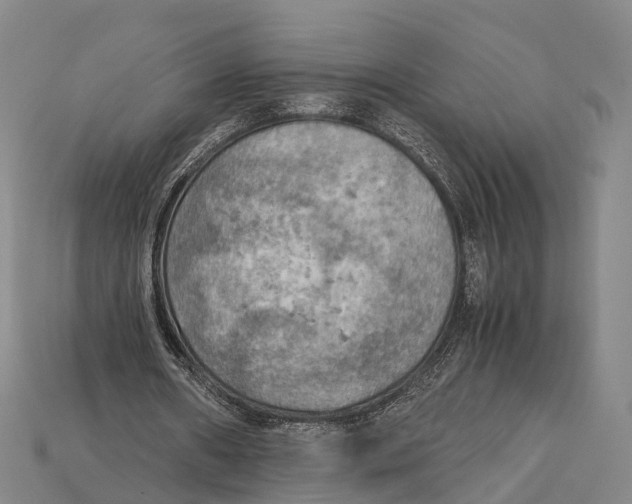 X0000115190482200911121825