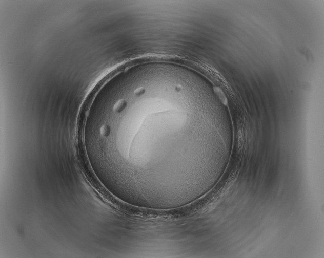 X0000115190484200911121825