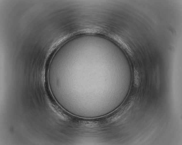 X0000115190486200911121825