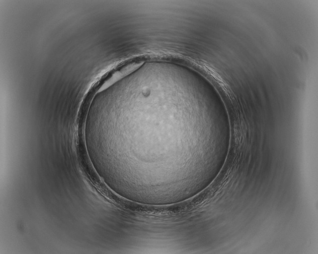 X0000115190488200911121825