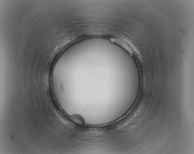 X0000115190489200911121825