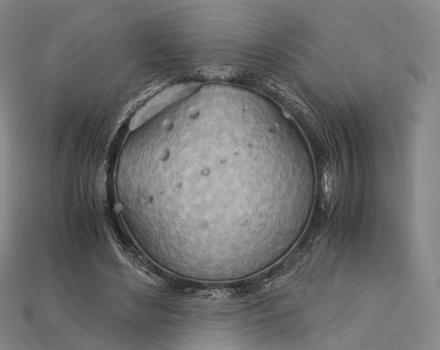X0000115190492200911121825