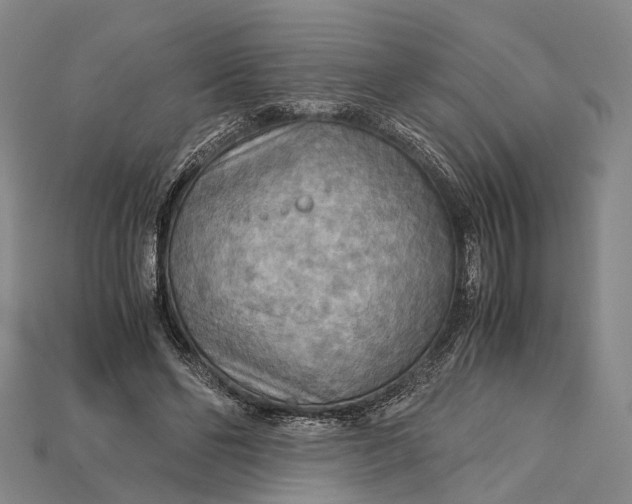X0000115190494200911121825