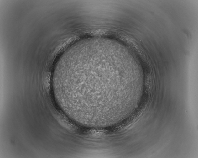 X0000115190495200911121825