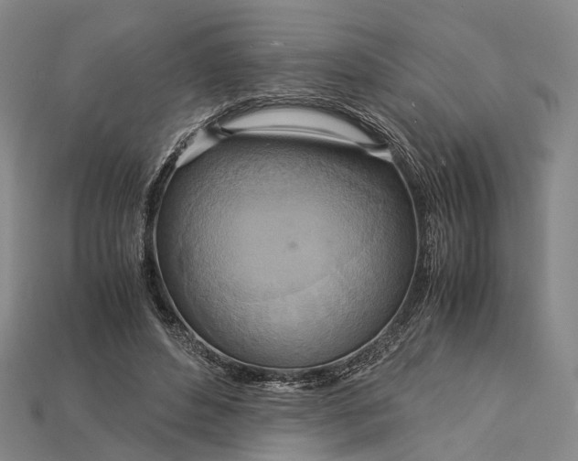 X0000115190496200911121825