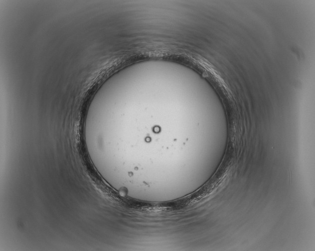 X0000115190497200911121825