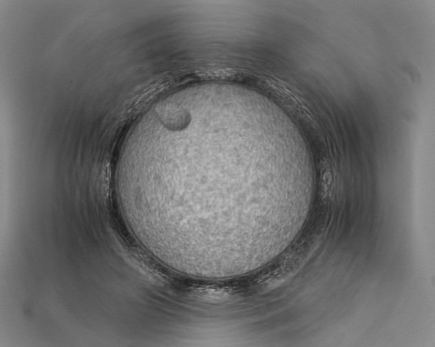 X0000115190498200911121825