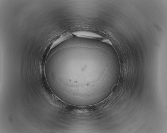 X0000115190500200911121824