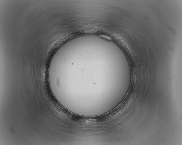 X0000115190501200911121824