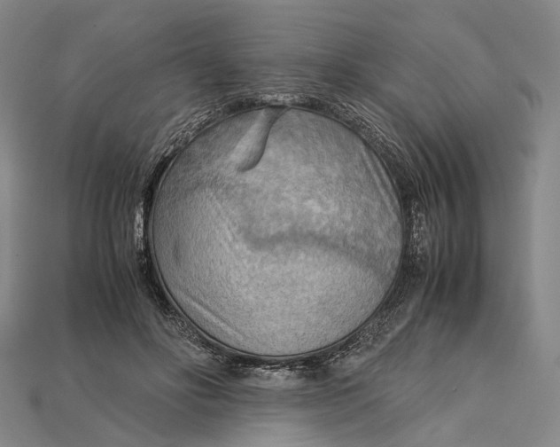 X0000115190502200911121824