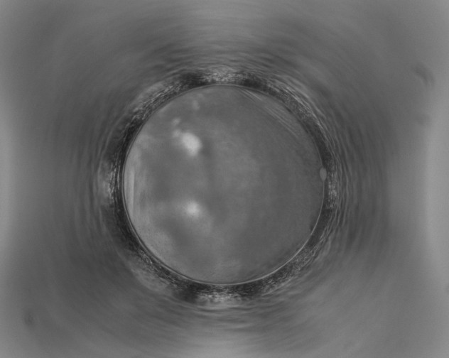 X0000115190503200911121824