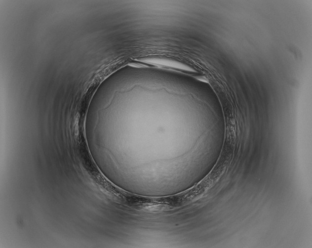 X0000115190504200911121824