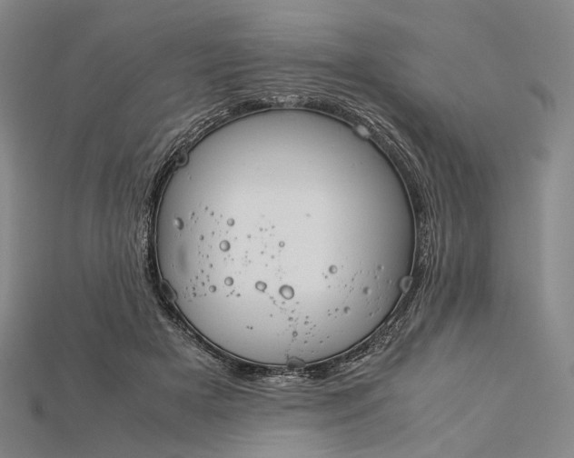 X0000115190505200911121824