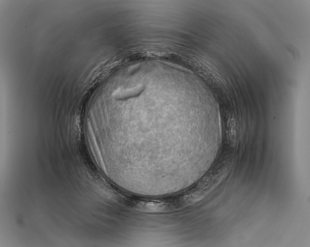 X0000115190506200911121824