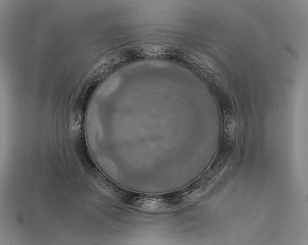 X0000115190507200911121824