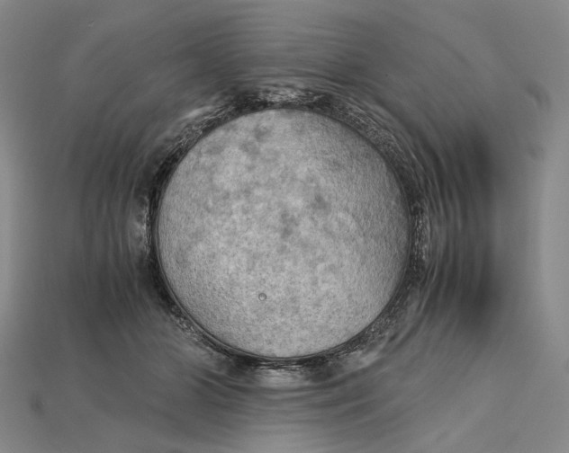 X0000115190510200911121824