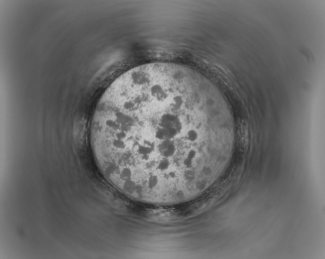X0000115190511200911121824