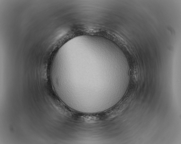 X0000115190512200911121824