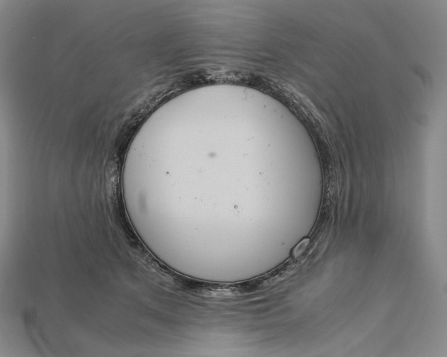 X0000115190513200911121824