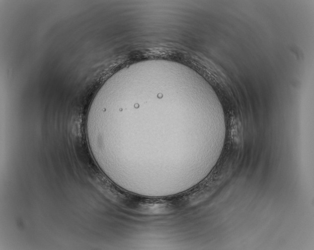 X0000115190514200911121824