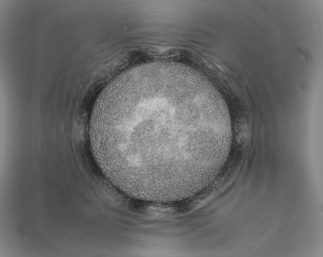 X0000115190515200911121824