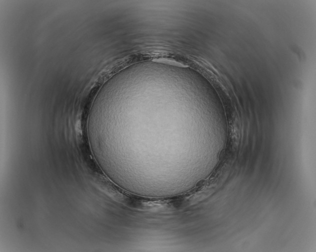 X0000115190516200911121824