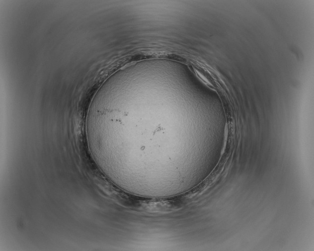 X0000115190517200911121824