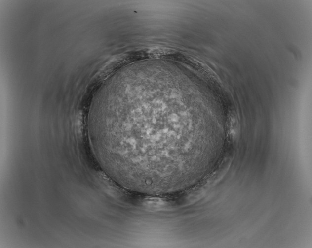 X0000115190519200911121824