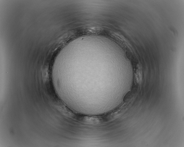 X0000115190520200911121824