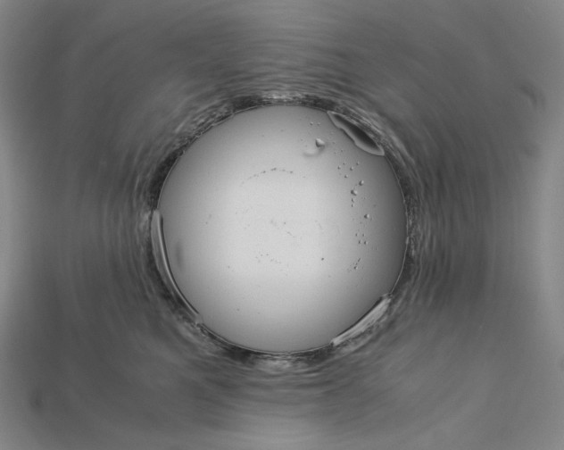 X0000115190521200911121824