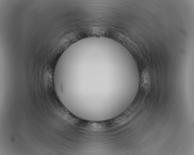 X0000115190522200911121824