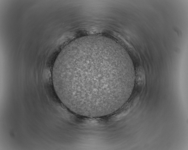 X0000115190523200911121824