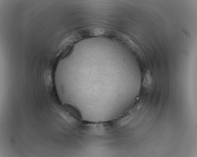 X0000115190524200911121824