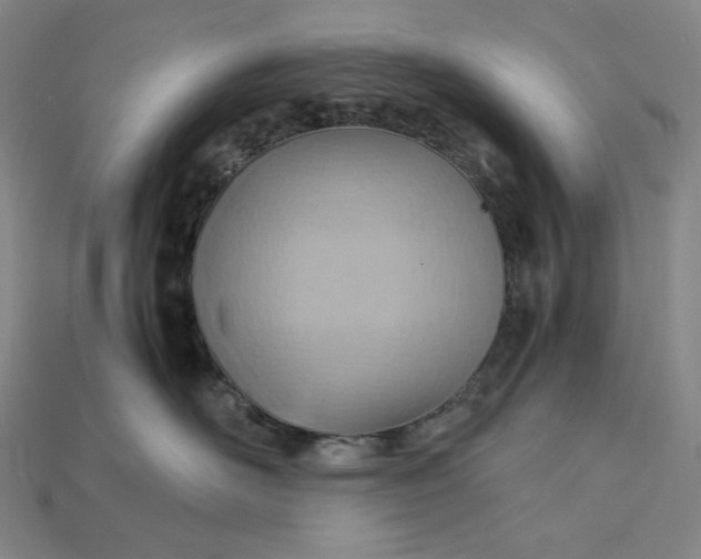 X0000115190526200911121824