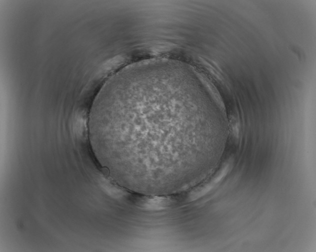 X0000115190527200911121824