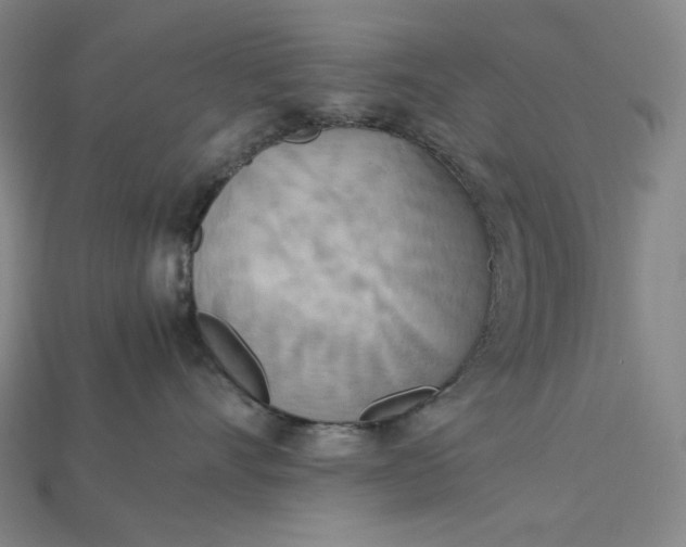 X0000115190528200911121824
