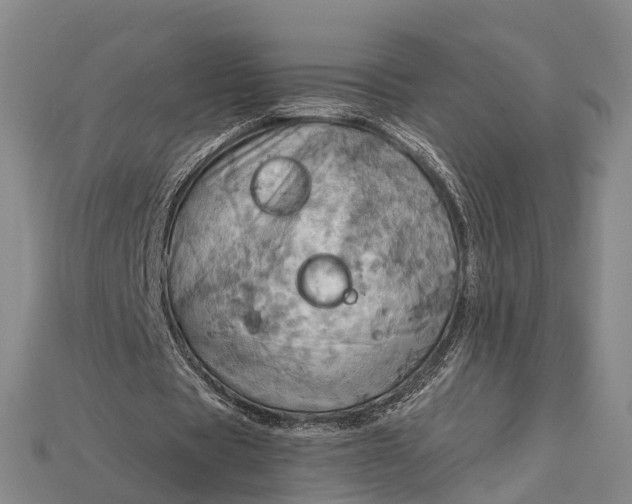 X0000115190529200911121824