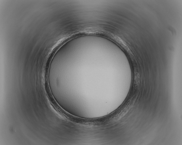 X0000115190530200911121824