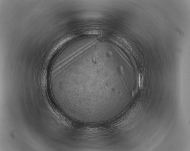 X0000115190531200911121824