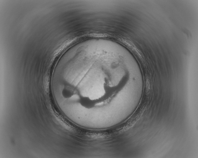 X0000115190533200911121824