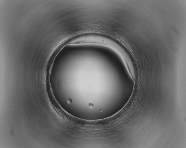 X0000115190534200911121824